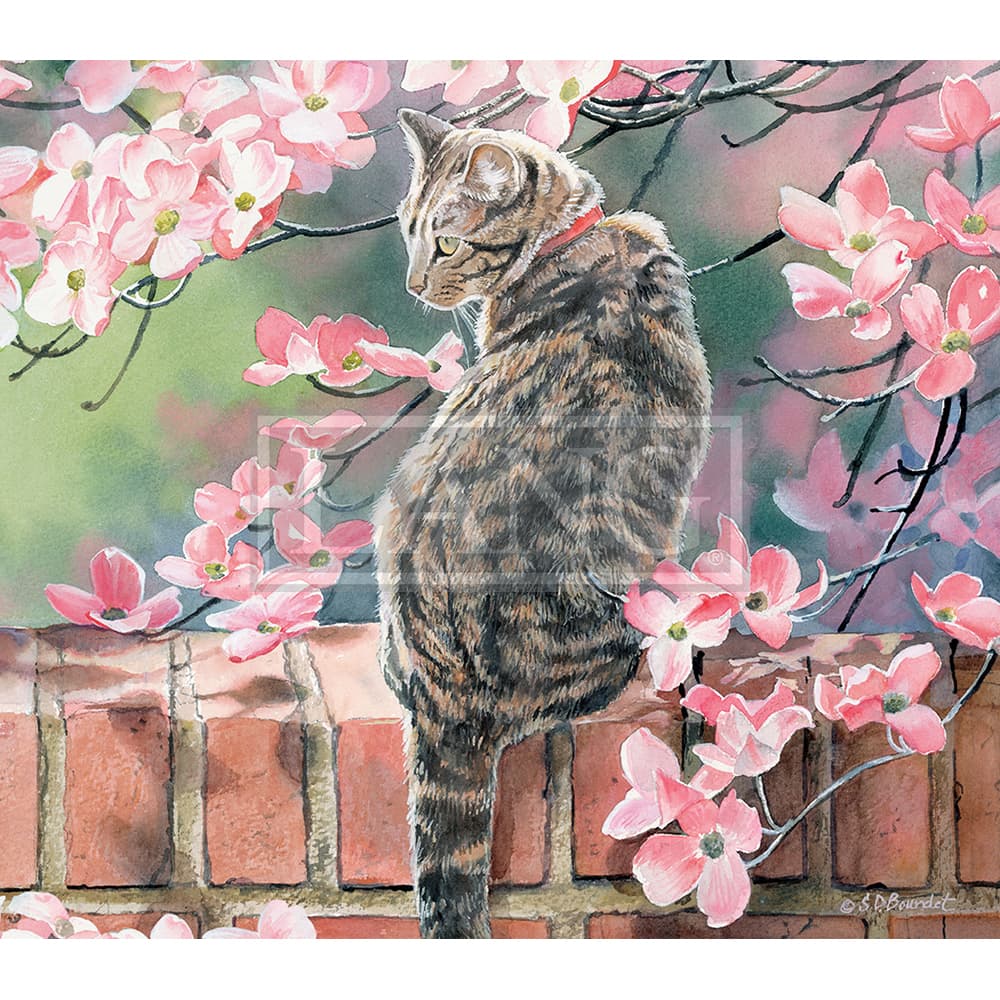 2023 cats in the country wallpaper april width=&quot;1000&quot; height=&quot;1000&quot;
